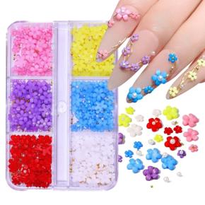 3D Colorful Acrylic Floral Nail Charms TNR13